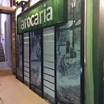 Arocaria 4* 하니아
