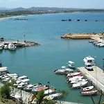 Arocaria Chania (Crete)