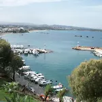 Arocaria Chania (Crete)