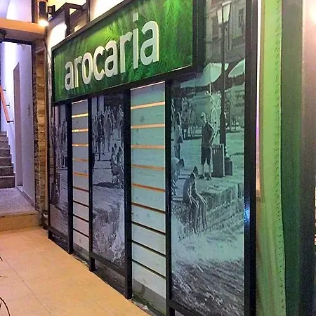 Arocaria 4*