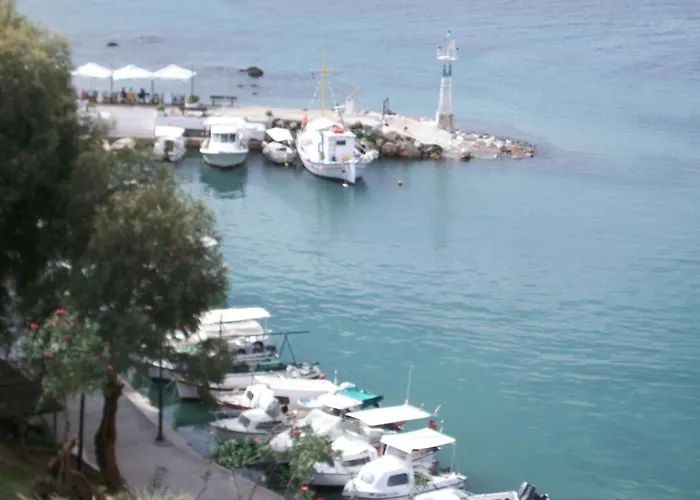 Arocaria Chania (Crete)