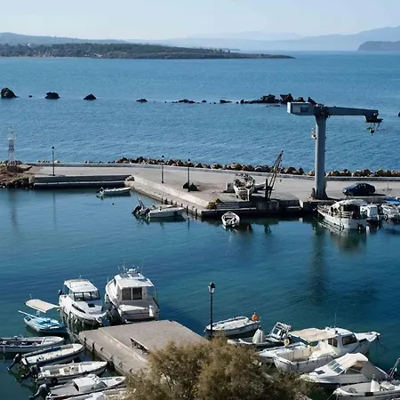 Arocaria Chania (Crete)