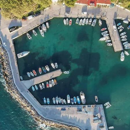 Arocaria Chania (Crete)