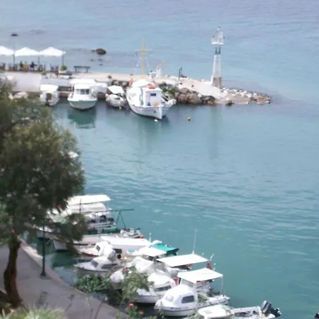 Arocaria Chania (Crete)