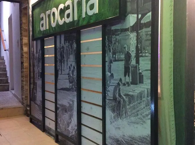 Arocaria 4* 하니아